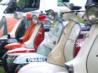 Bild zu Eurolambretta 2007 (05310054.jpg)