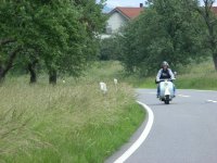 Bild zu Eurolambretta 2007 (RIMG0356.jpg)