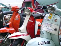 Bild zu Eurolambretta 2007 (05310055.jpg)