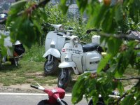 Bild zu Eurolambretta 2007 (RIMG0446.jpg)