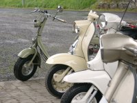 Bild zu Eurolambretta 2007 (06010030.jpg)