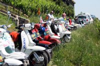 Eurolambretta 2016 (dsc_8880.jpg)